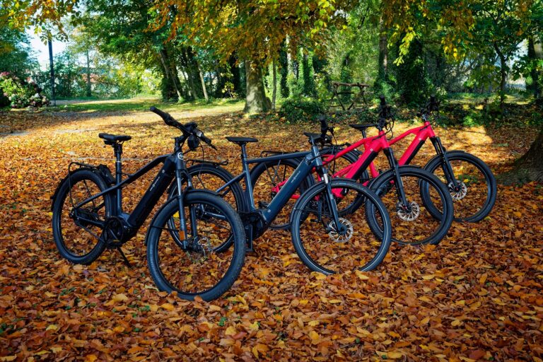 E-Bike mieten Stade