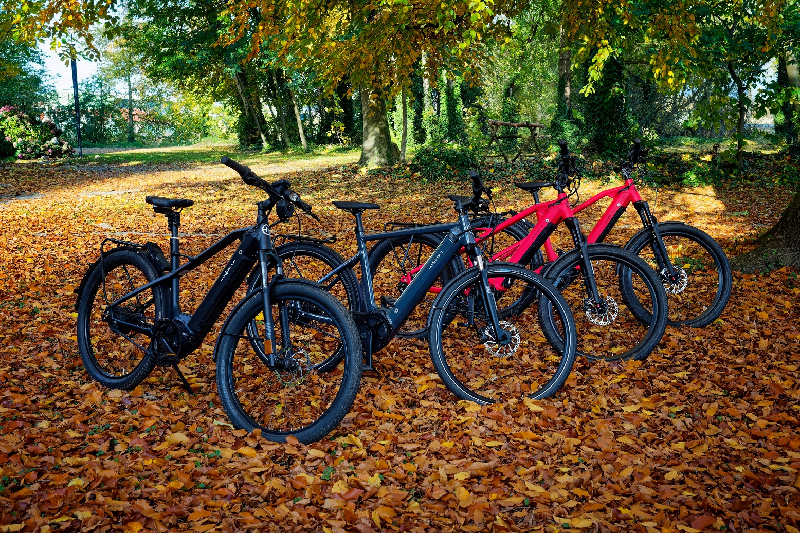 E Bike Mieten Monatlich