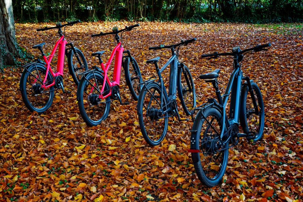 E-Bike-Tour auf dem Elberadweg an der Elbe