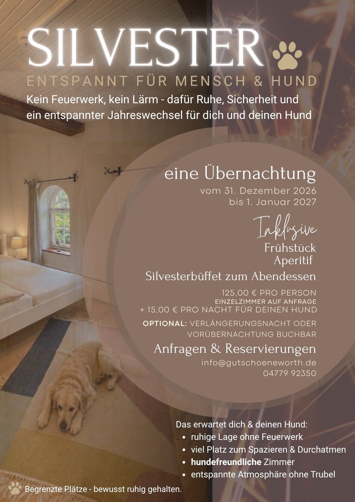 Flyer für den Jahreswechsel mit Hund auf Gut Schöneworth in Freiburg an der Elbe