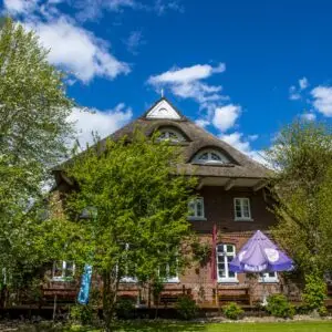gut-schöneworth-terrasse-sommer 1